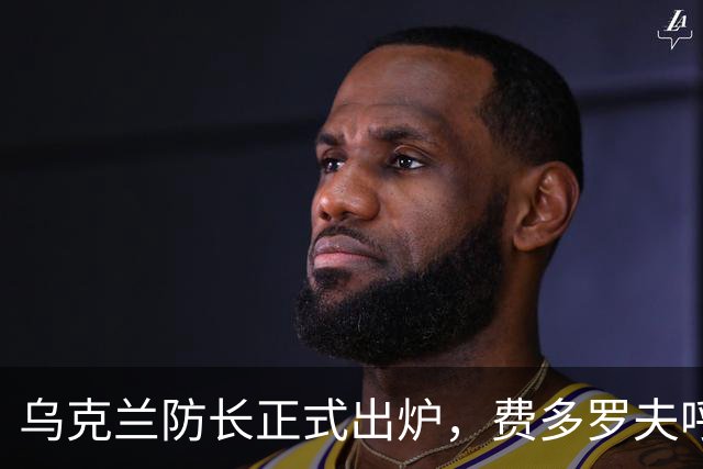 乌克兰防长正式出炉，费多罗夫呼吁大选，挑战泽连斯基总统宝座