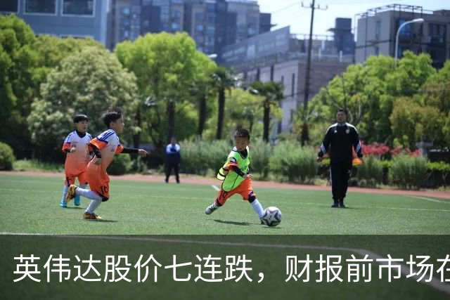 英伟达股价七连跌，财报前市场在担心什么？